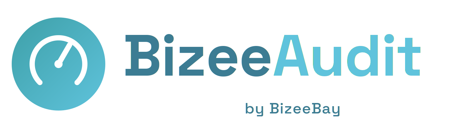 BizeeAudit by BizeeBay